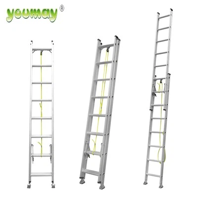 Ysgol Delesgopig Gludadwy wedi'i Customized